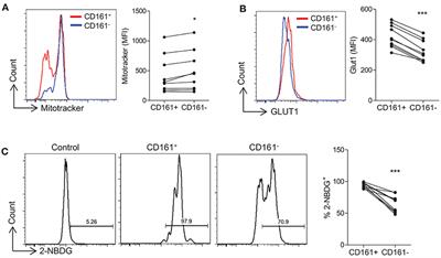 Differential Regulation of Human Treg and Th17 Cells by Fatty Acid Synthesis and Glycolysis